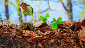 Prenez-vous des mesures en faveur d'une gestion durable des sols?