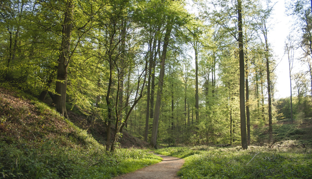 Le parc fluvial de la vallée de l’Escaut et de Bosland sont déclarés parcs nationaux