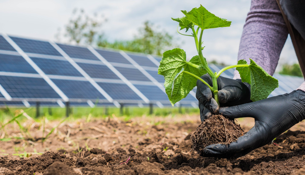 Klimaatmitigatie en CO2-reductie