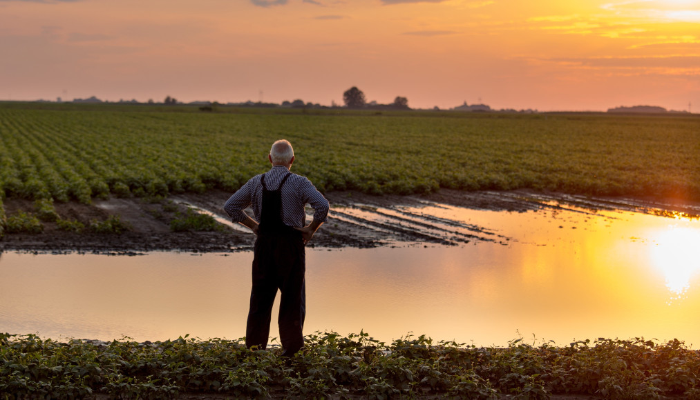 De maatschappelijke kost van waternood en watersnood