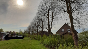 Het bomenportaal is genomineerd voor een Climate Proof Award!
