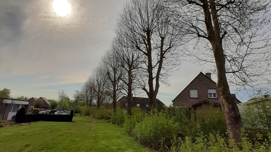 Het bomenportaal is genomineerd voor een Climate Proof Award!