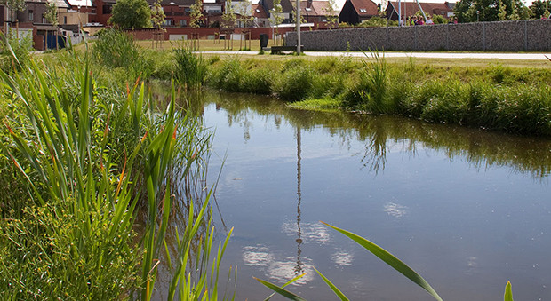 Water management