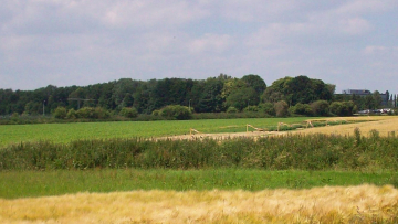 Landschap Woluweveld in Brussel