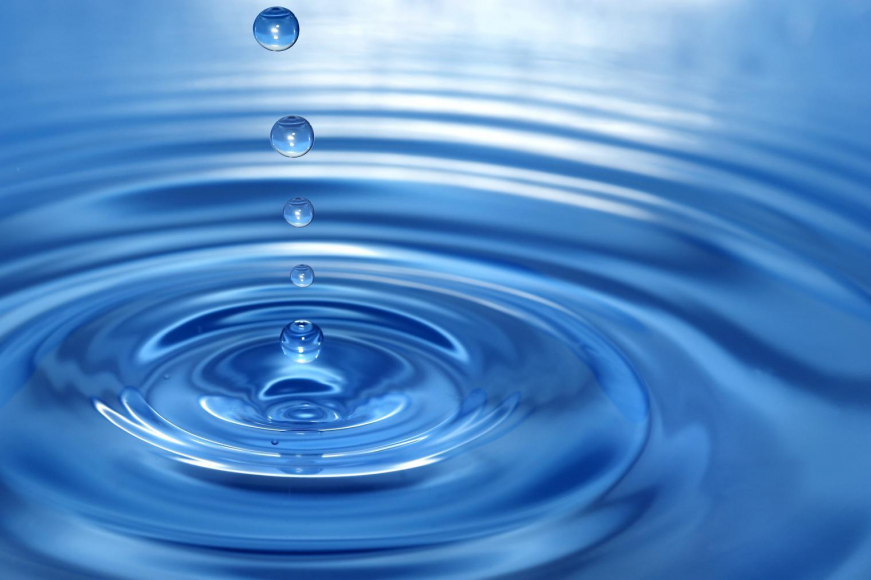 world water week 