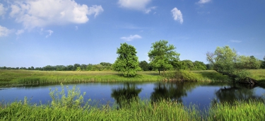 Resilient coast and rivers