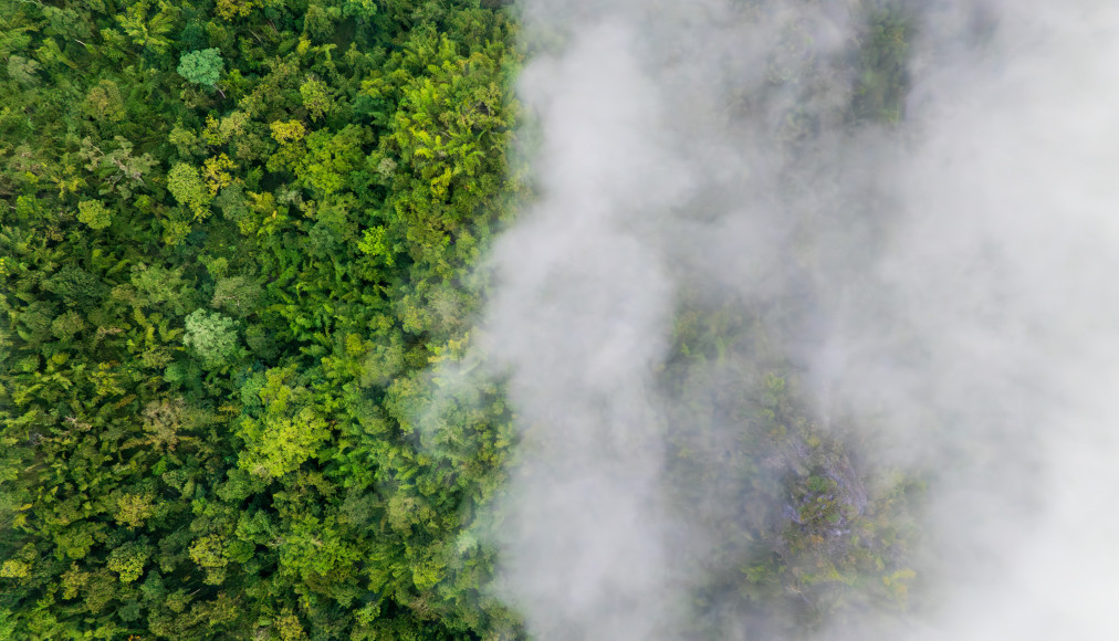 CO2 capture: what is it?