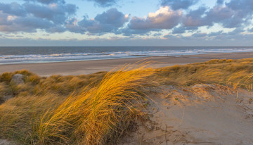 Silvy Thant