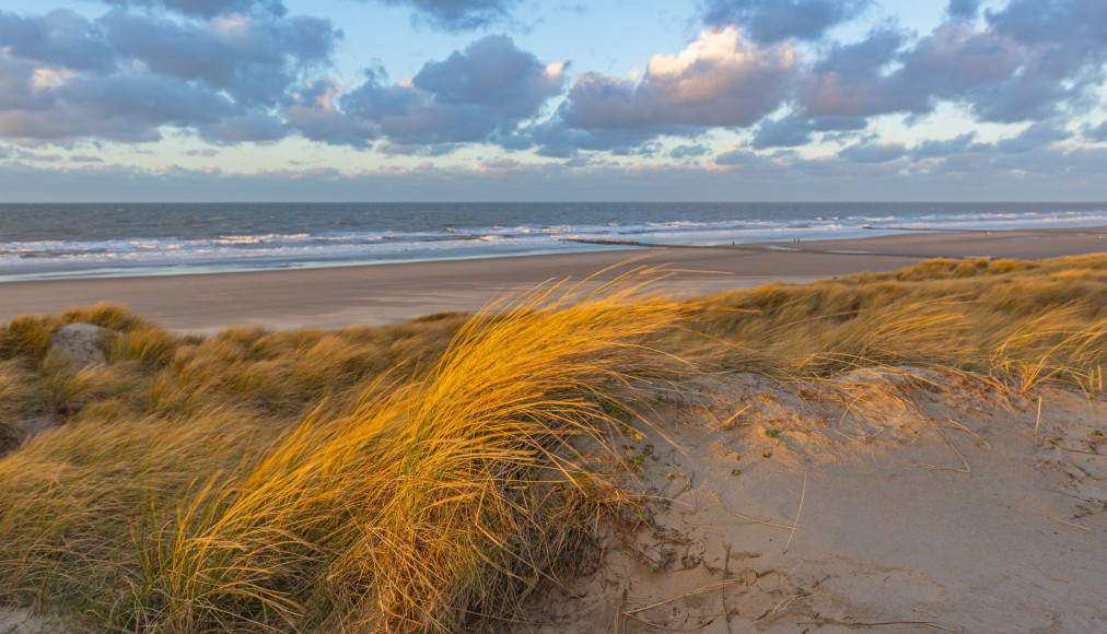 Innovative solutions for ammunition dump site Paardenmarkt in North Sea