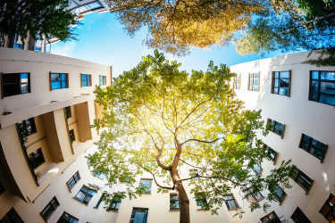 Building surrounded by trees