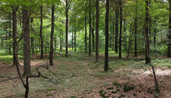 Meer natuur en recreatie in Puurs-Sint-Amands