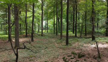 Meer natuur en recreatie in Puurs-Sint-Amands
