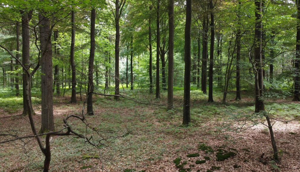 Meer natuur en recreatie in Puurs-Sint-Amands