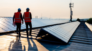 Partner bij jouw vergroeningsplannen