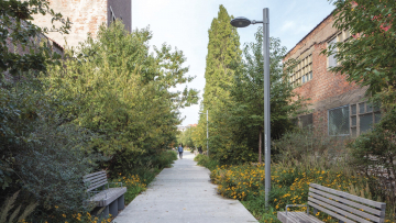 Een park in Brussel