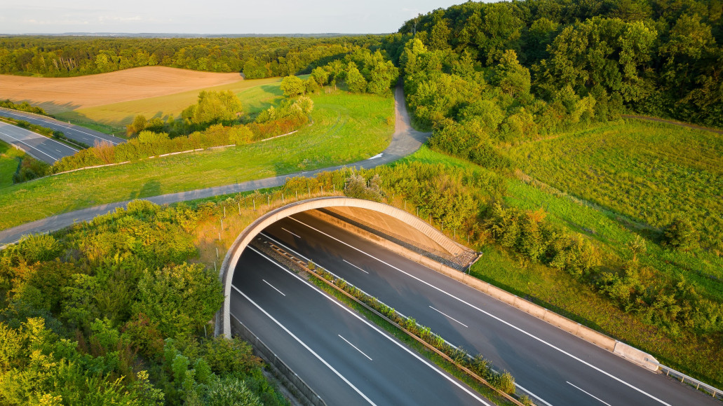 Infrastructures résilientes au climat