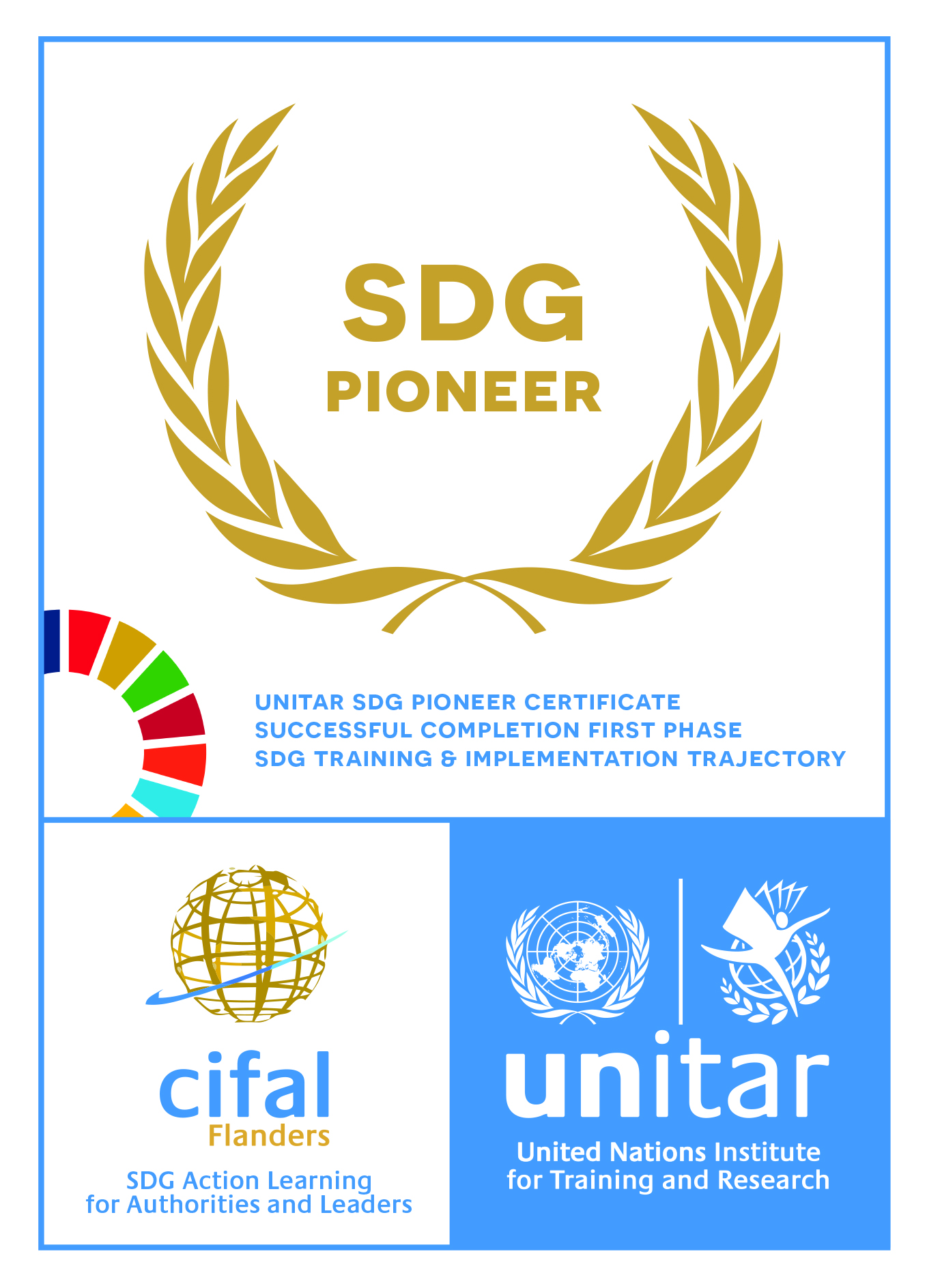 UNITAR SDG Pioneer certificate