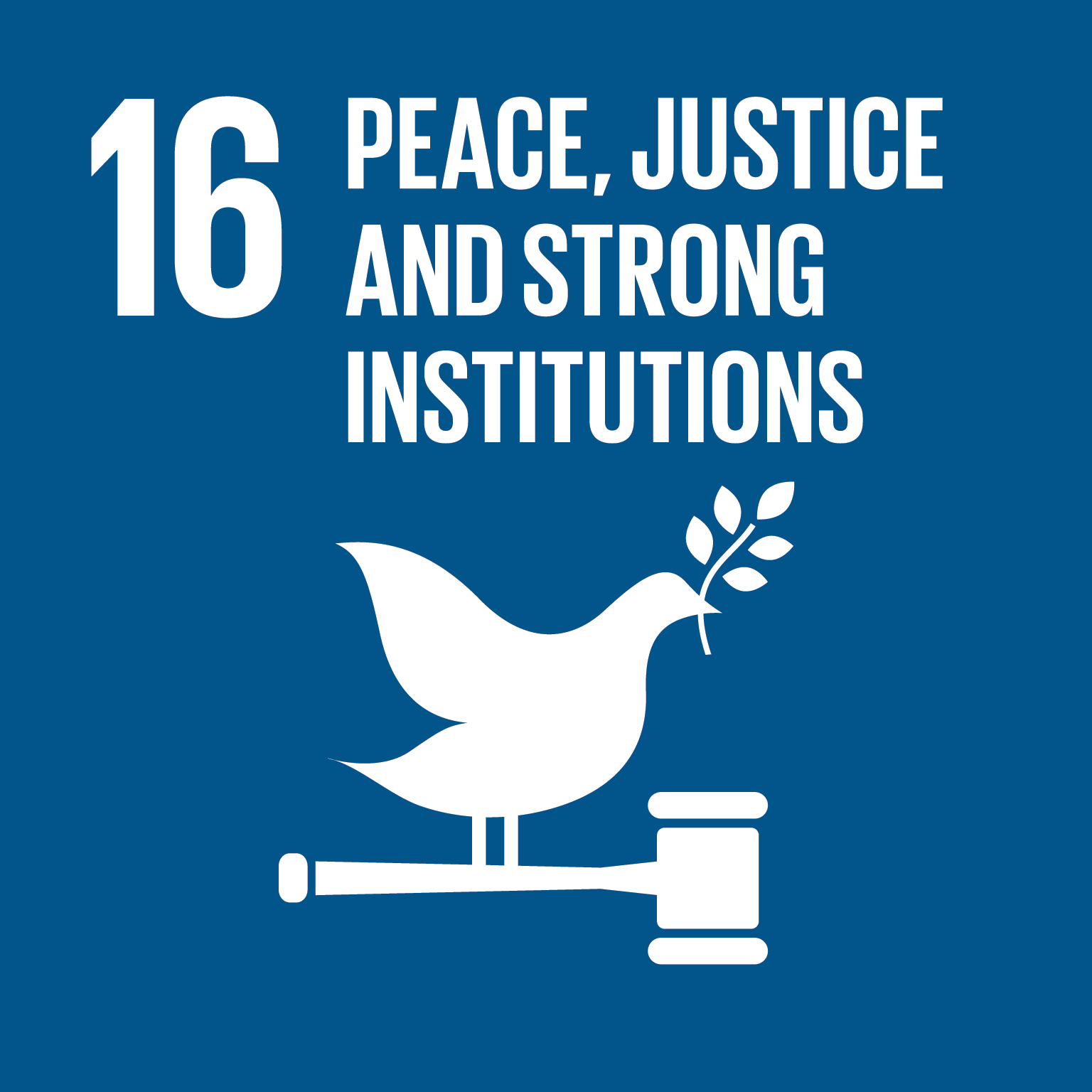 SDG 16 - Vrede, justitie en sterke publieke diensten