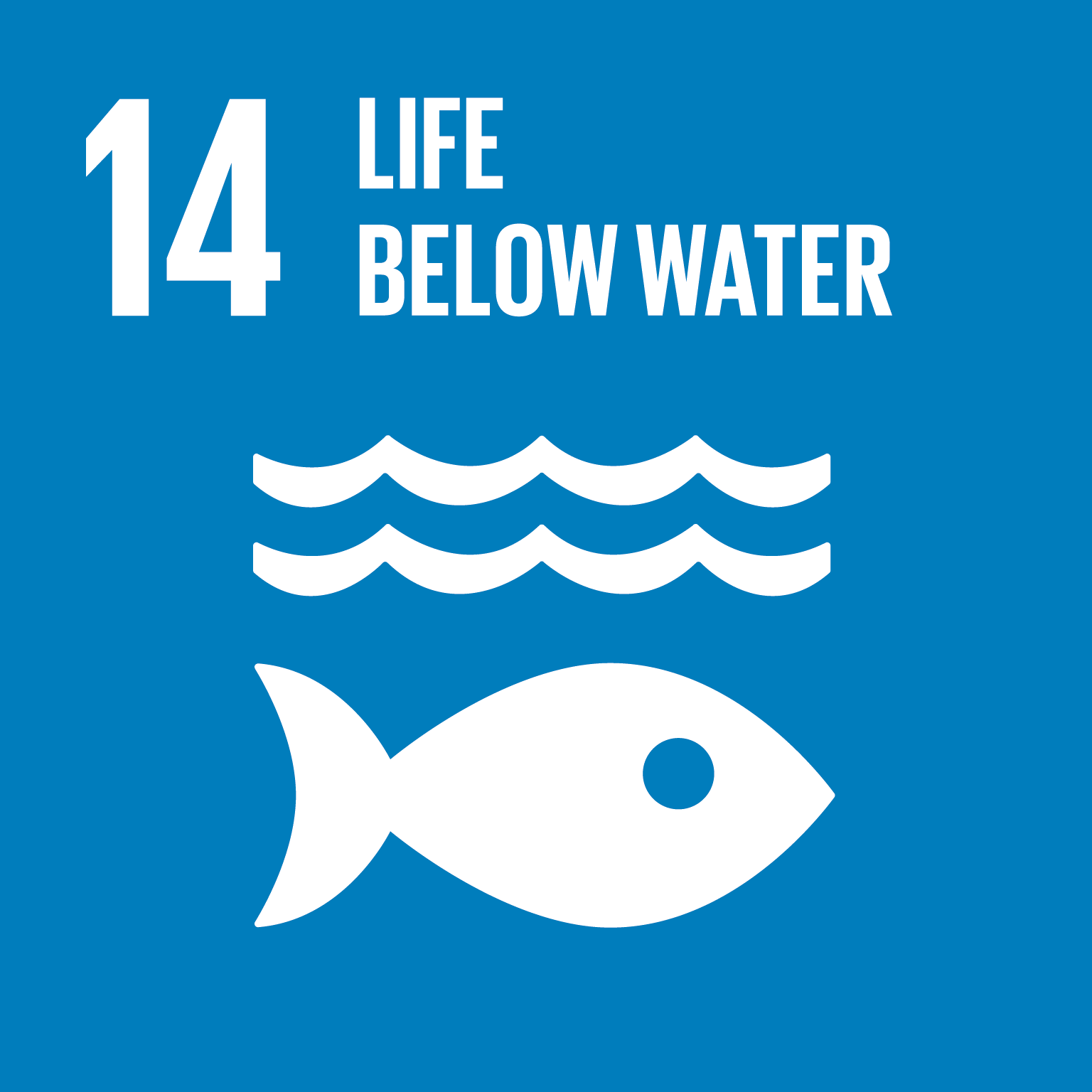SDG 14 - Leven onder water