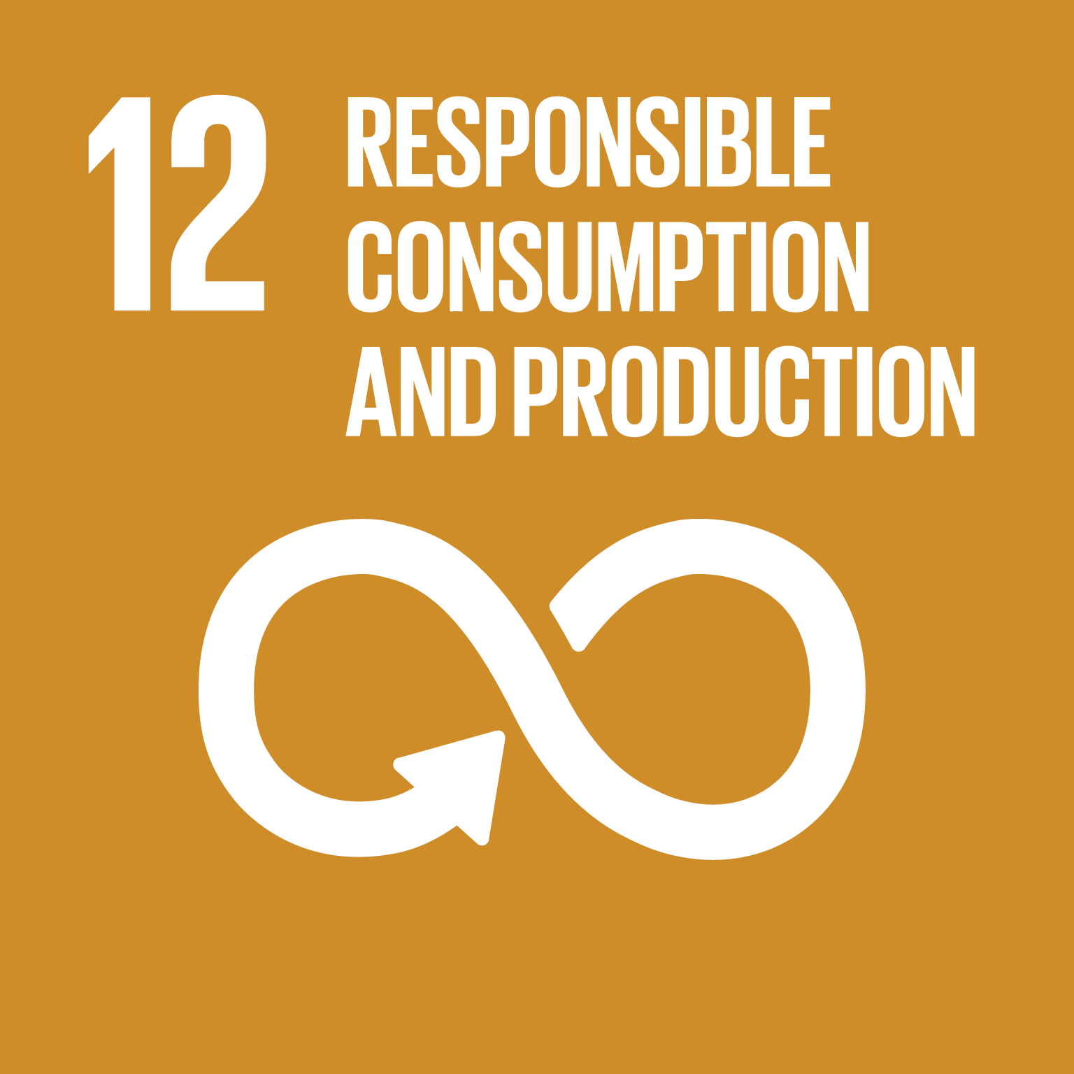 SDG 12 - Verantwoorde consumptie en productie