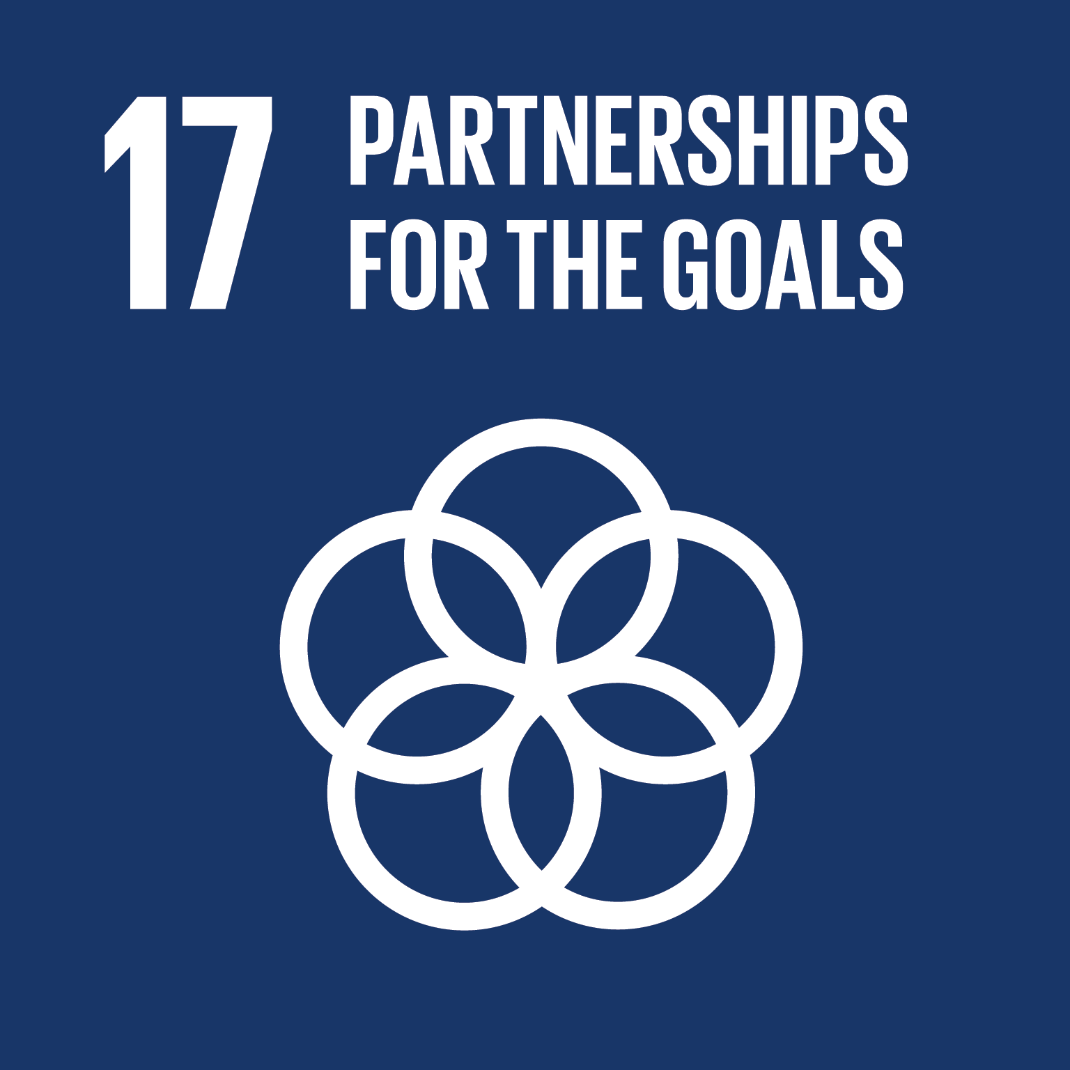 SDG 17 - Partnerschappen